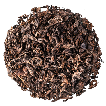 Ancient Puer