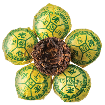 Chrysanthemum Tuo Cha