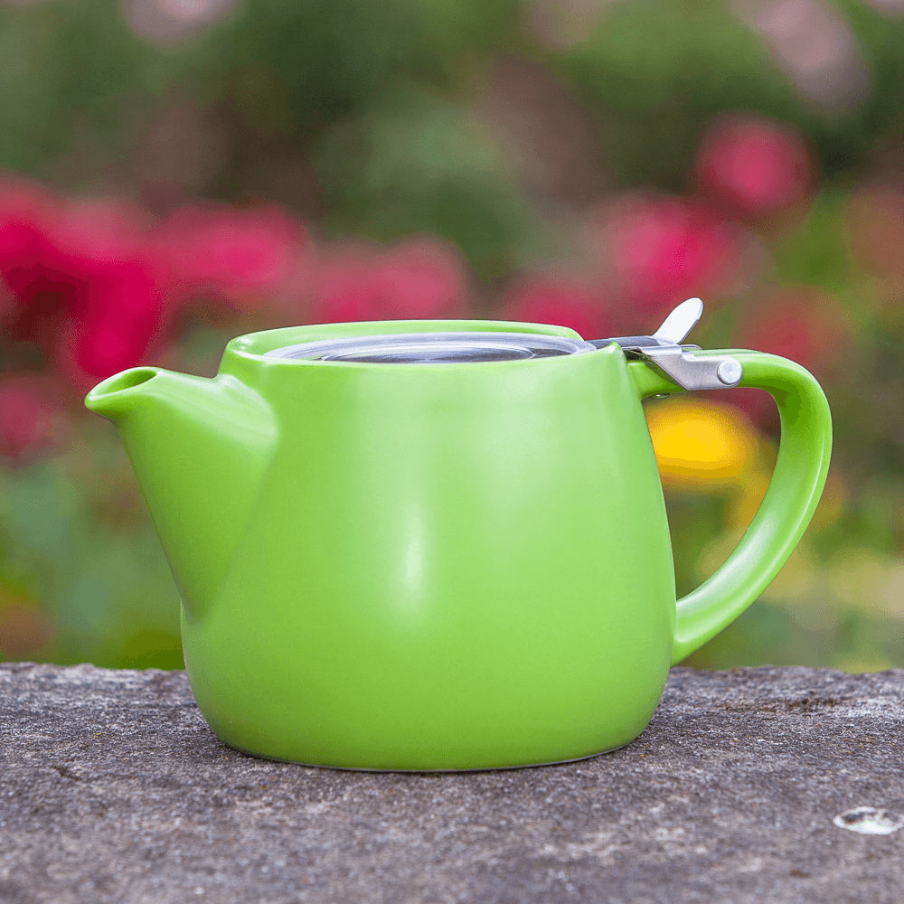 Pluto Porcelain 18oz Teapot with Infuser - Lime
