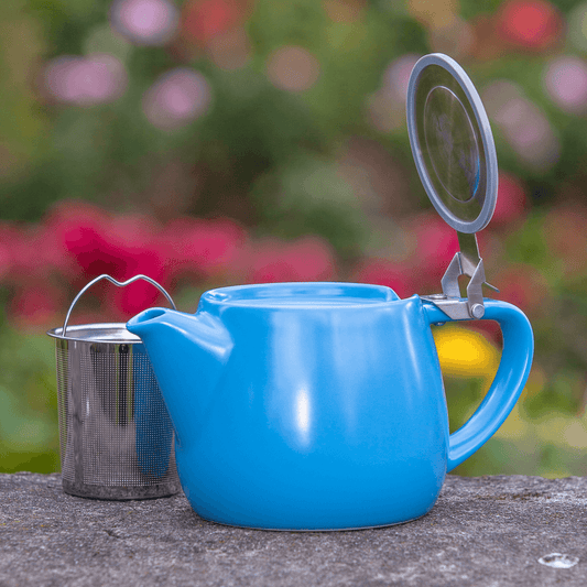 Pluto Porcelain 18oz Teapot with Infuser - Blue