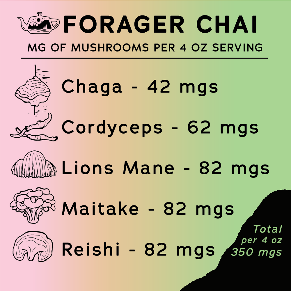 Forager Chai Concentrate - 32 oz